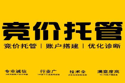 案例分享：SEM推广助力企业快速抢占市场